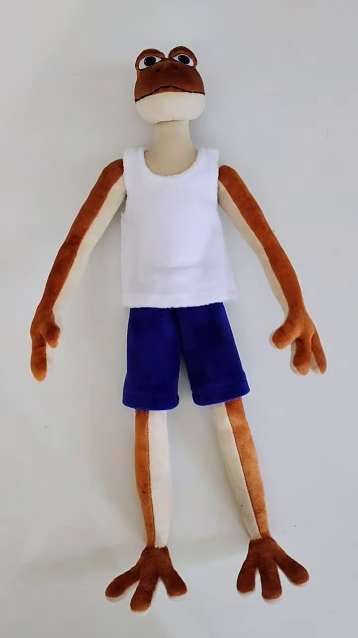 Patila frog toy in a tank top and shorts Patila frog toy with long thin arms and webbed feet in a white tank top and blue shorts, handmade to order