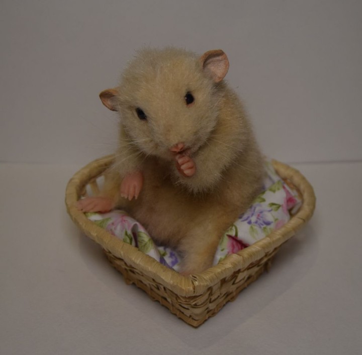 Pet rat plush in a basket Handmade pet rat plush in faux fur sitting in a wicker basket on floral cloth, custom made to order