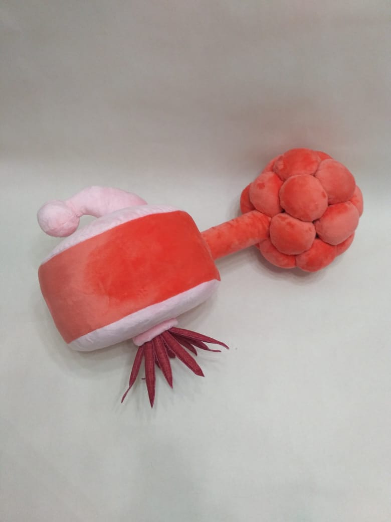 Custom plumbus plush, Rick and Morty fan piece Custom plumbus plush from Rick and Morty, coral drum body, pink handle and knobbly top, handmade fan piece
