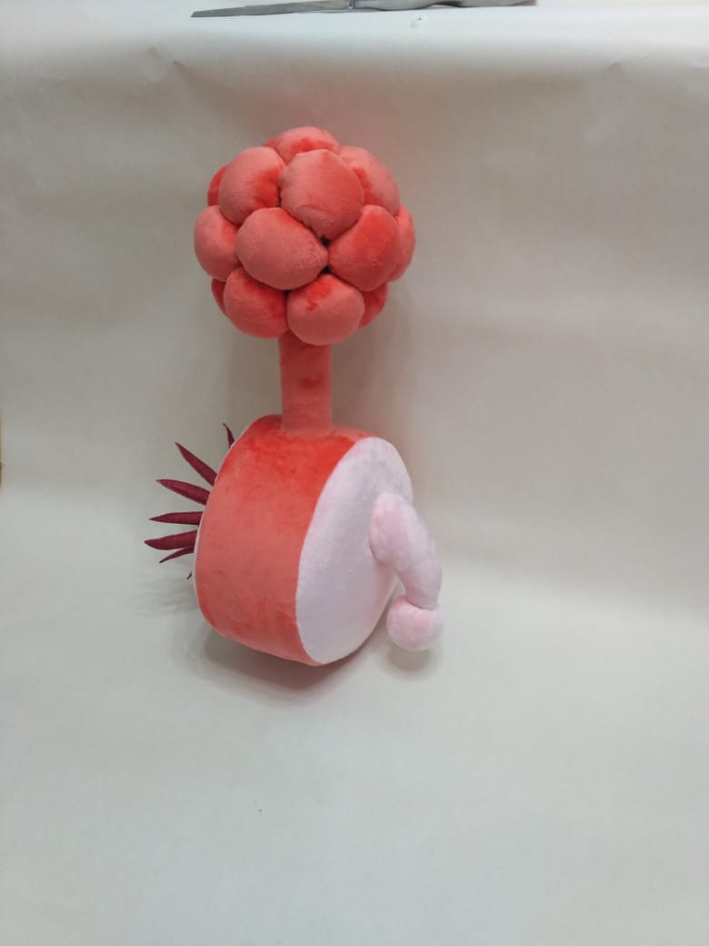 Handmade plumbus plush, 60 cm Handmade plumbus plush, 60 cm long, coral knobs on a stalk and a fan of dark red spikes, made to order