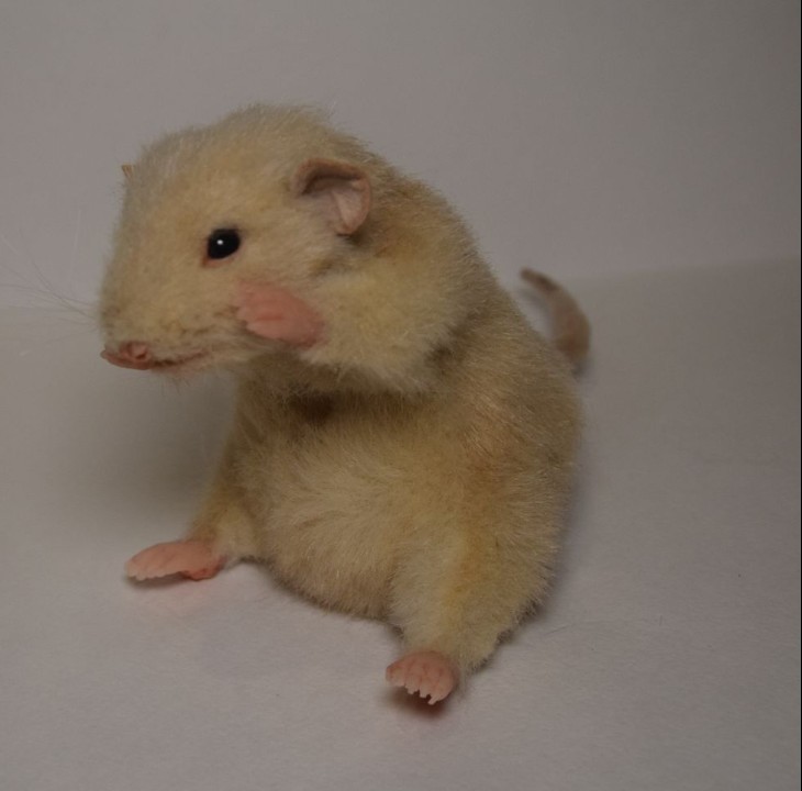 Custom rat plush washing its face Realistic beige rat plush holding a pink paw to its face, custom pet rat copy handmade to order