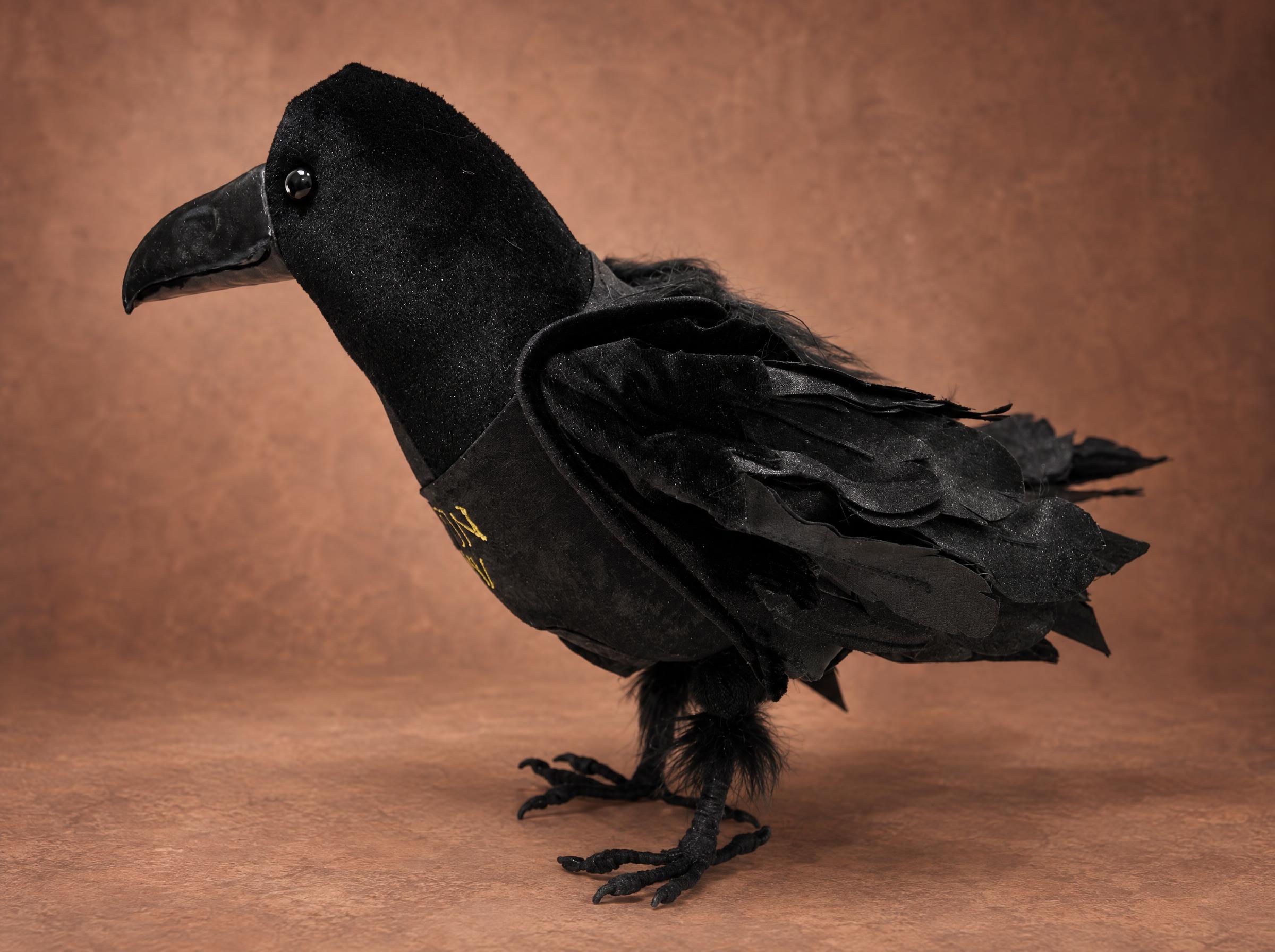 Realistic raven plush in black velvet with layered feathers and a sculpted beak, handmade to order