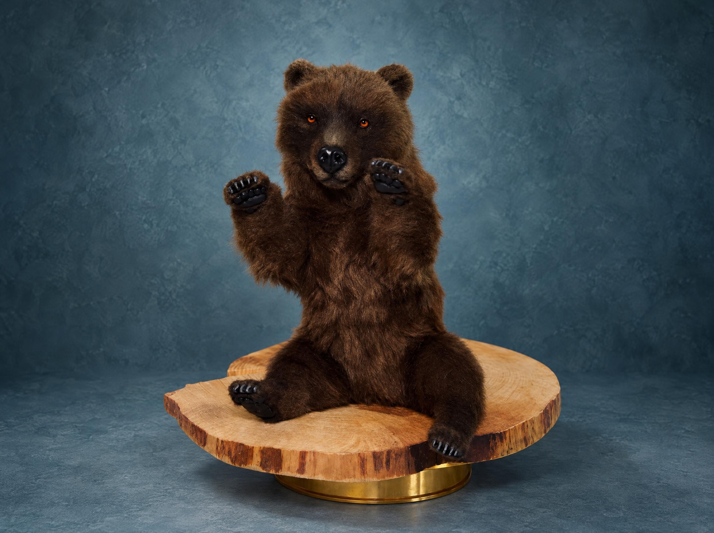 Realistic bear plush: brown bear cub in chocolate faux fur, paws raised, sitting on wood, made to order