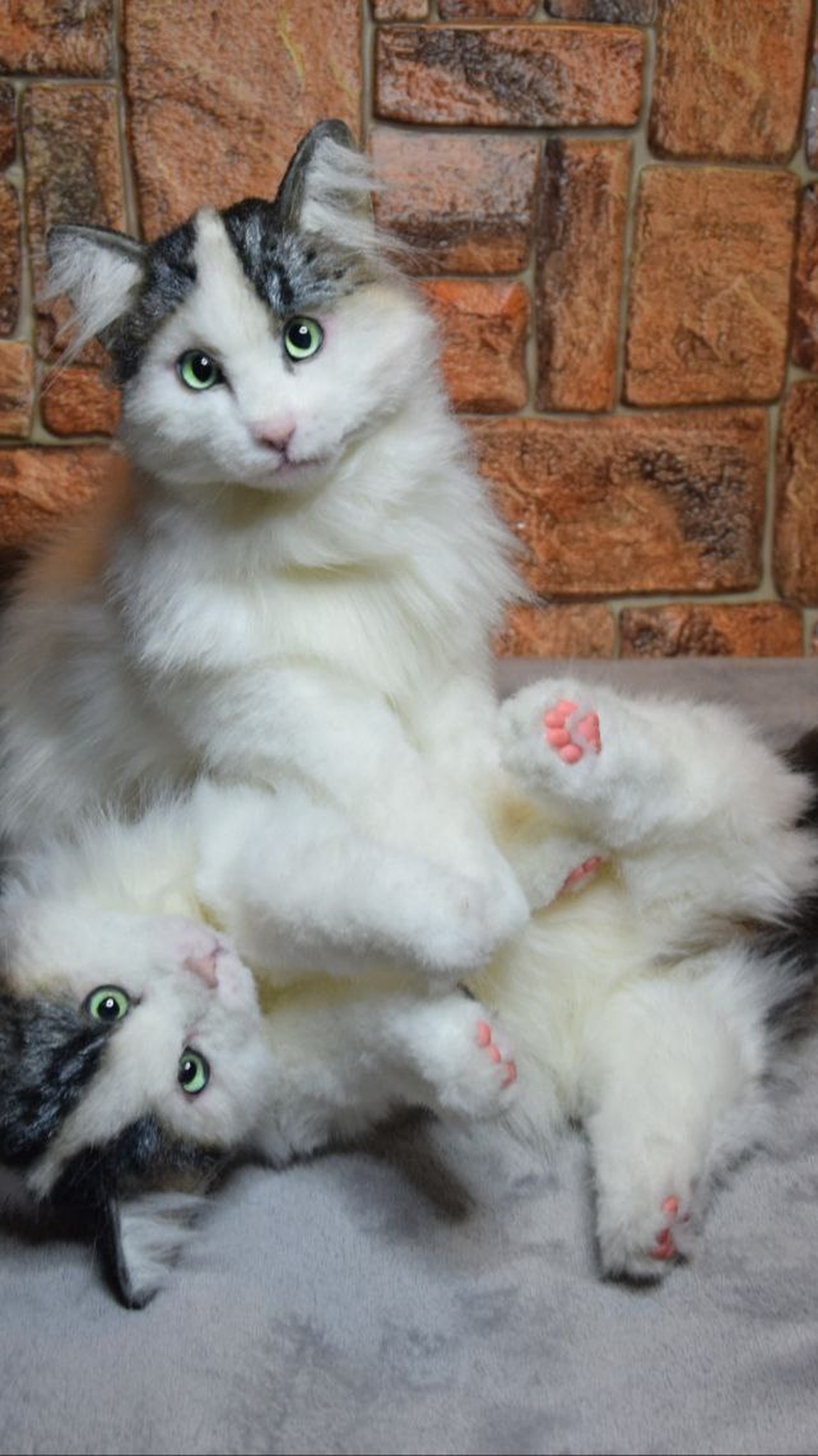 Realistic cat plush from photo, two white portrait cats playing, one rolled on its back, made to order