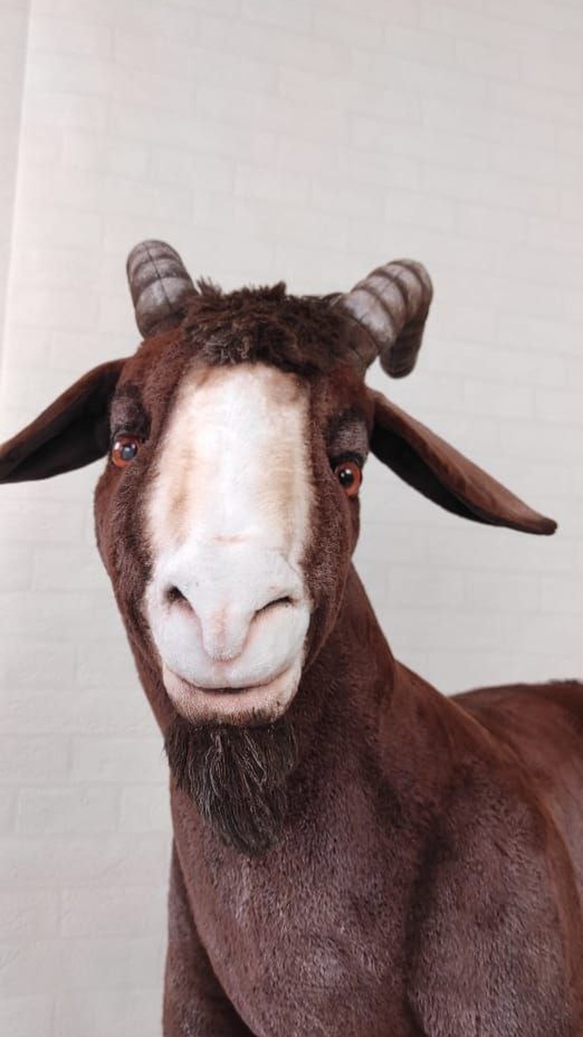 Realistic goat stuffed animal with amber eyes, a pink muzzle and a calm smile, handmade to order