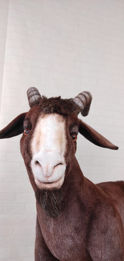 Realistic goat stuffed animal Realistic goat stuffed animal with amber eyes, a pink muzzle and a calm smile, handmade to order