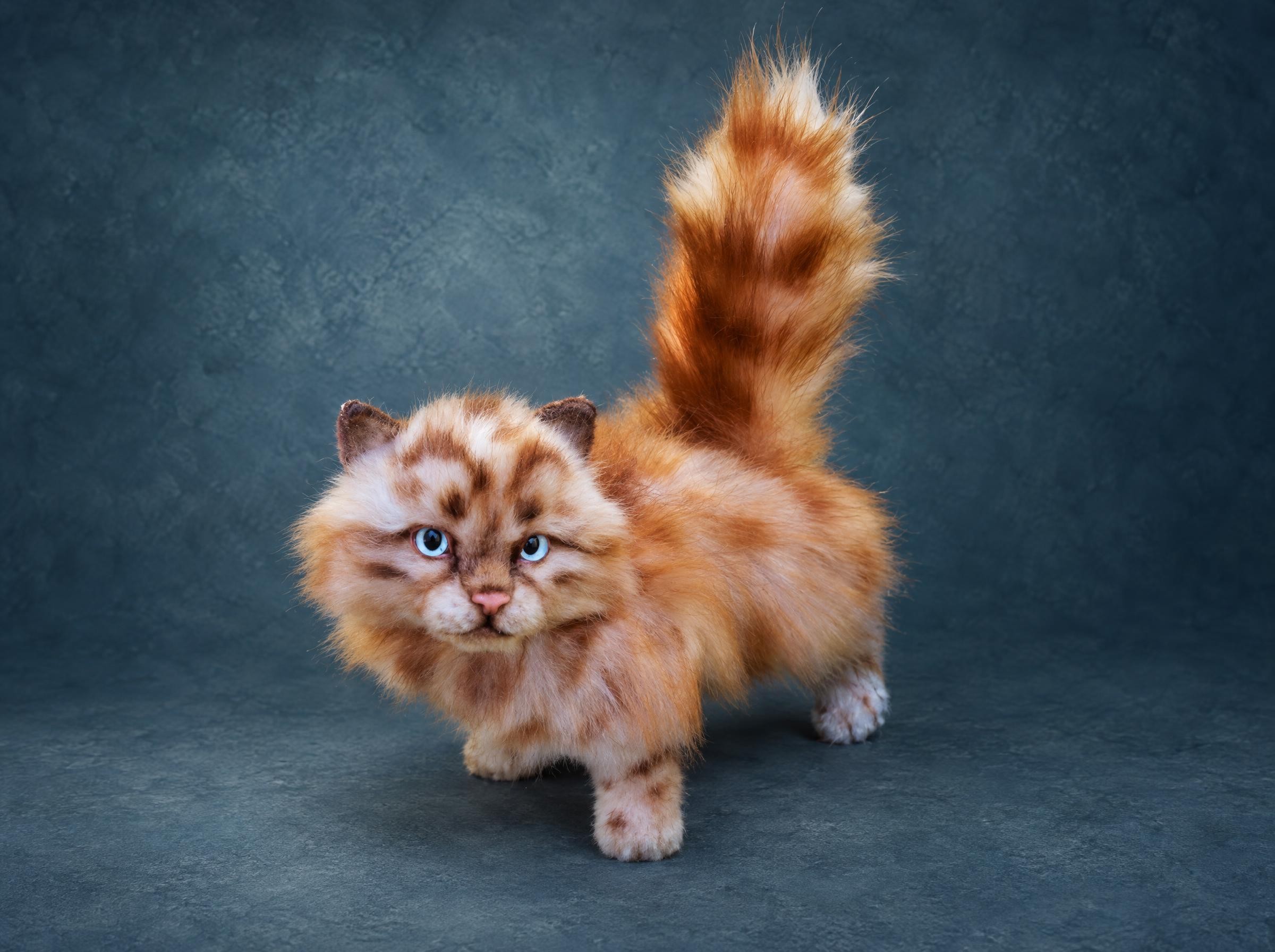 Realistic kitten plush in spotted ginger faux fur with blue eyes and a raised tail, handmade to order