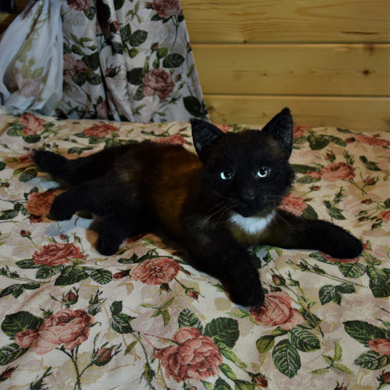 Realistic kitten plush stretched out Realistic kitten plush lying stretched out, black paws and chocolate-brown back, made to order