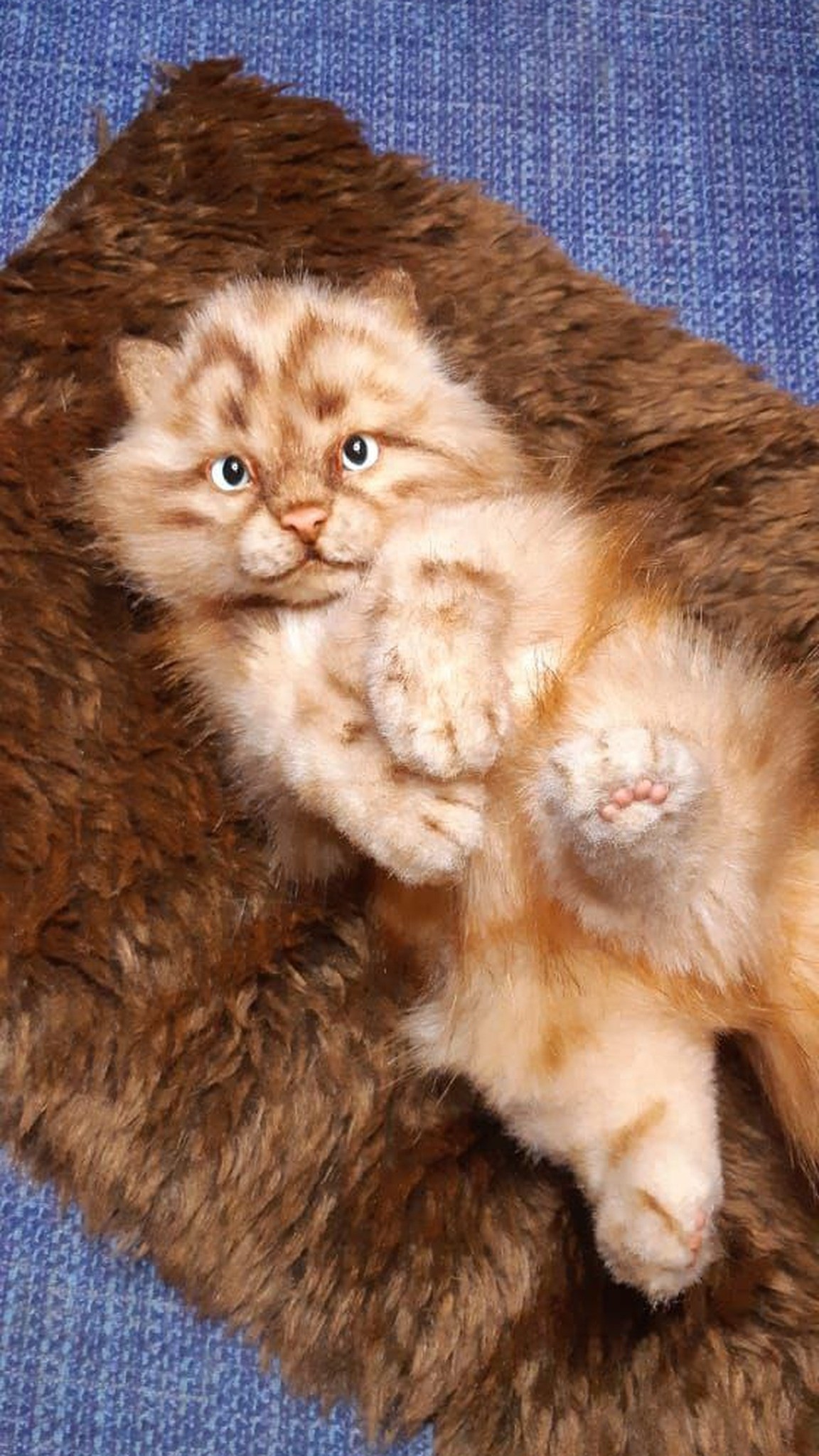 Realistic kitten stuffed animal on its back on a brown rug, paws up, ginger spotted fur, made to order