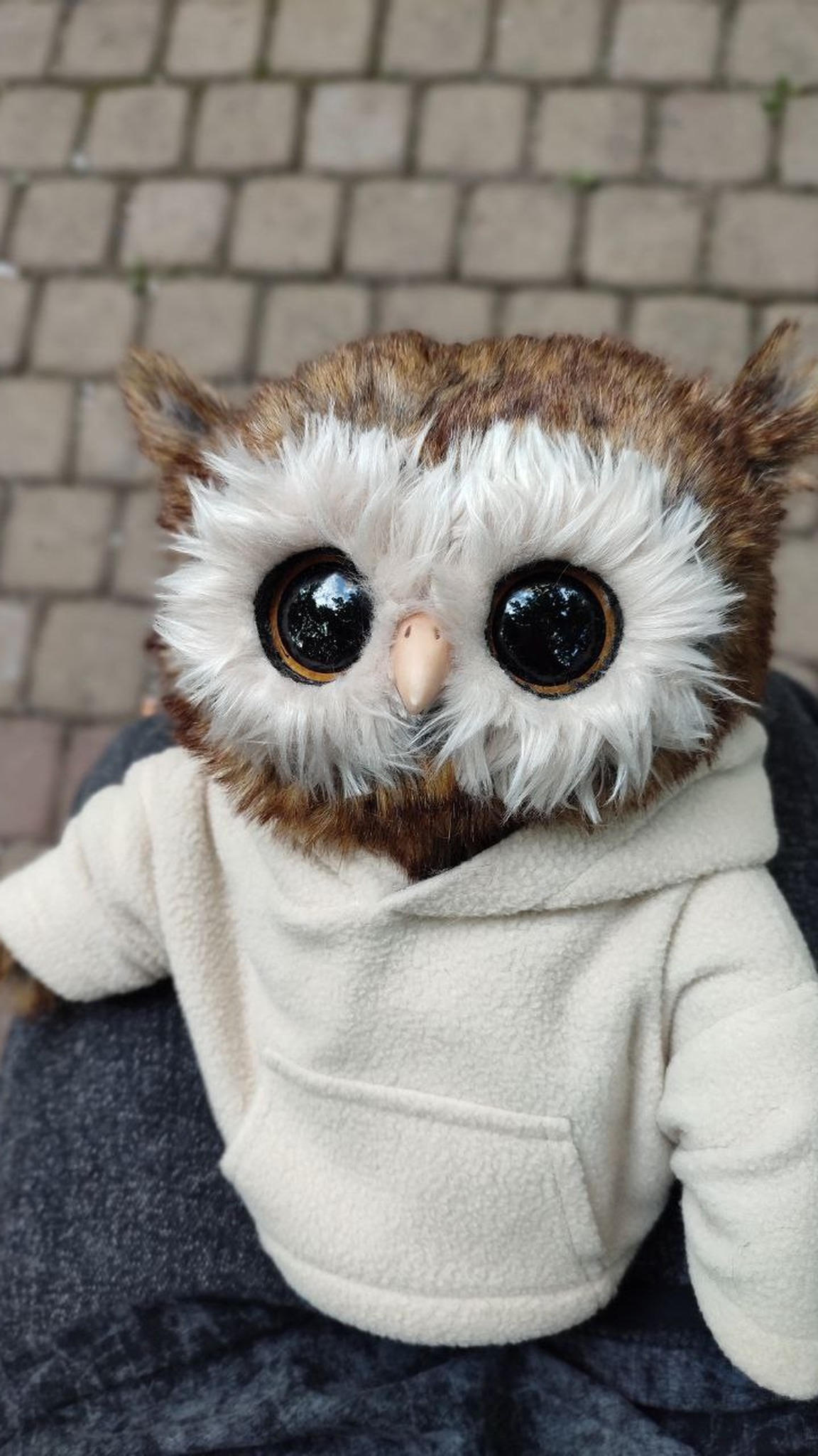 Realistic owl plush with huge glossy eyes, a small beak and a pale faux fur face, in a hoodie, made to order
