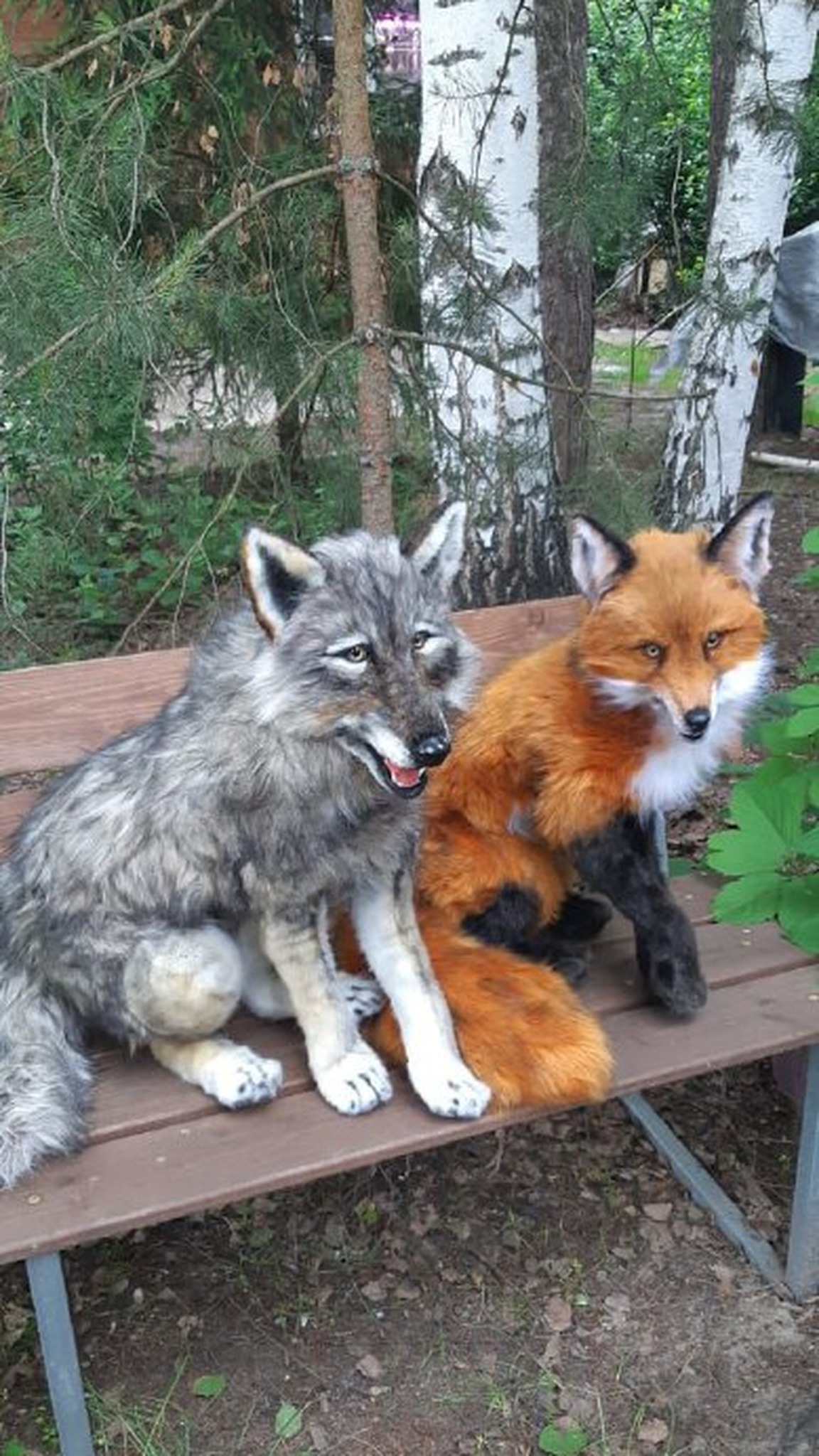 Custom wolf plush and realistic red fox plush, both handmade to order, side by side on a garden bench