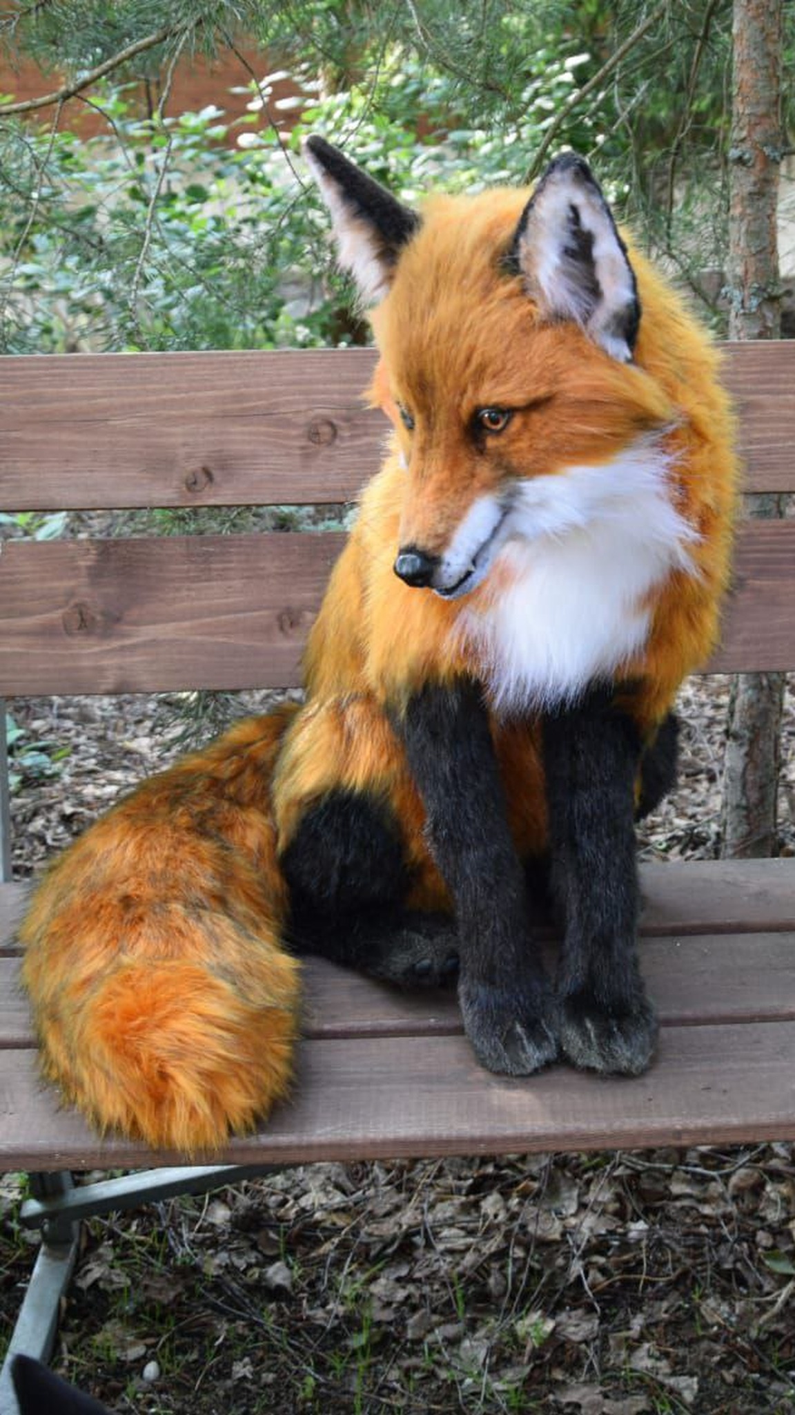 Red fox plush, realistic and handmade to order, on a garden bench: dark faux fur legs and a huge ginger tail