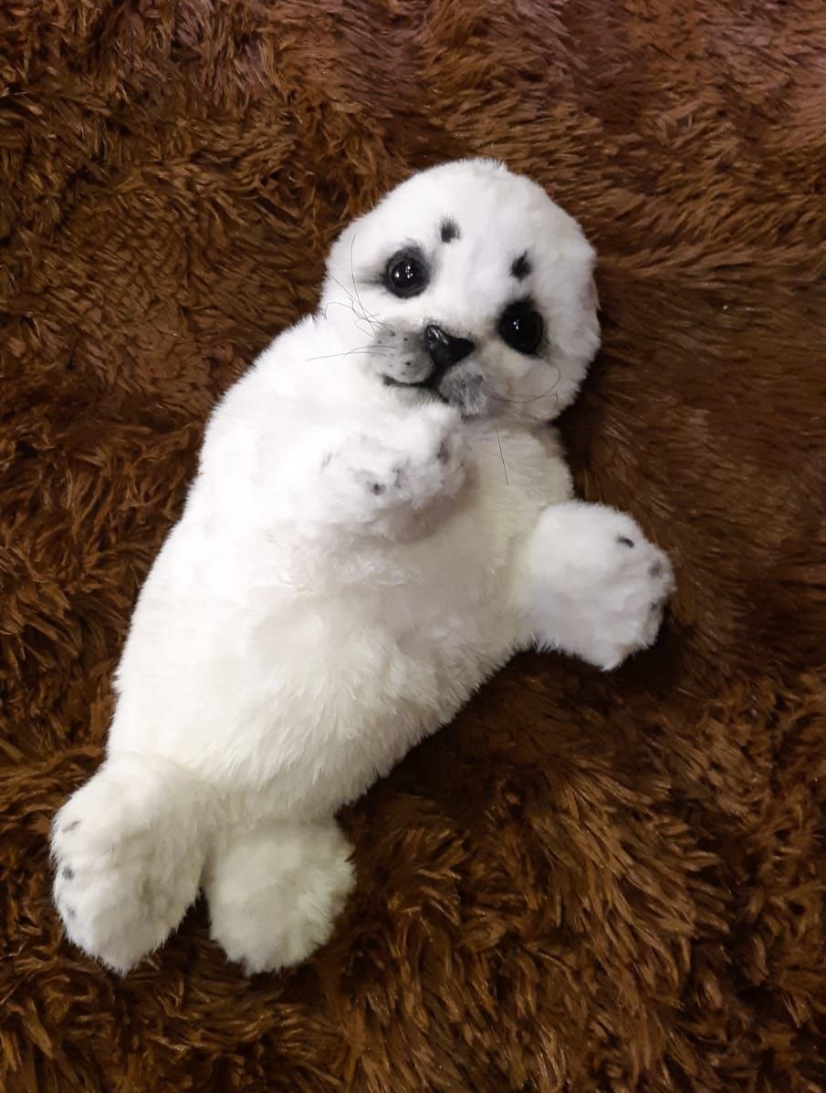 Seal plush lying on its back Handmade seal plush on its back with flippers up, white faux fur and grey-tipped flippers, made to order