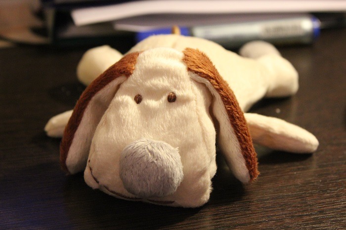 Stuffed dog copy with brown ears and grey nose Stuffed dog copy with brown floppy ears, embroidered eyes and a soft grey nose, sewn by hand to order