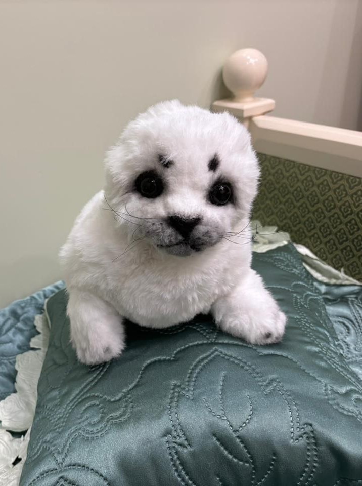White seal plush on a pillow White seal plush resting on a green pillow, realistic baby seal face with black eyes, handmade to order